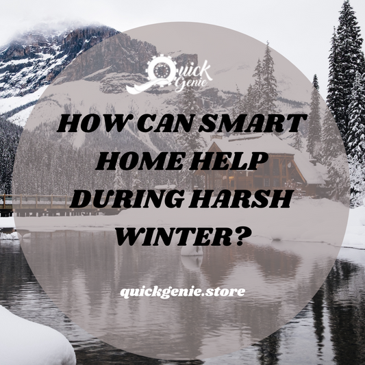 How Can Smart Home Help During Harsh Winter?