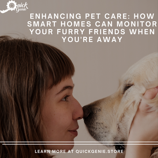 Enhancing Pet Care: How Smart Homes Can Monitor Your Furry Friends When You're Away